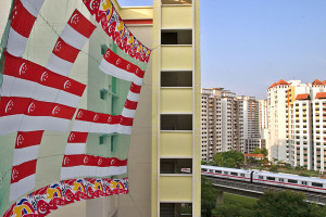 Consolation - Singapore My Home Photography Competition '10