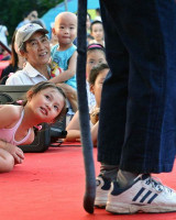 Merit - NAC Concert in the Park Photo Competition '08