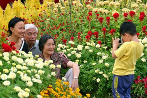 Consolation - Sentosa Flowers Magic Moments Photography Competition '08